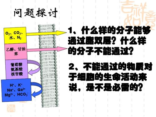 物質(zhì)跨膜運(yùn)輸方式與生物合成技術(shù)的現(xiàn)代研發(fā)進(jìn)展