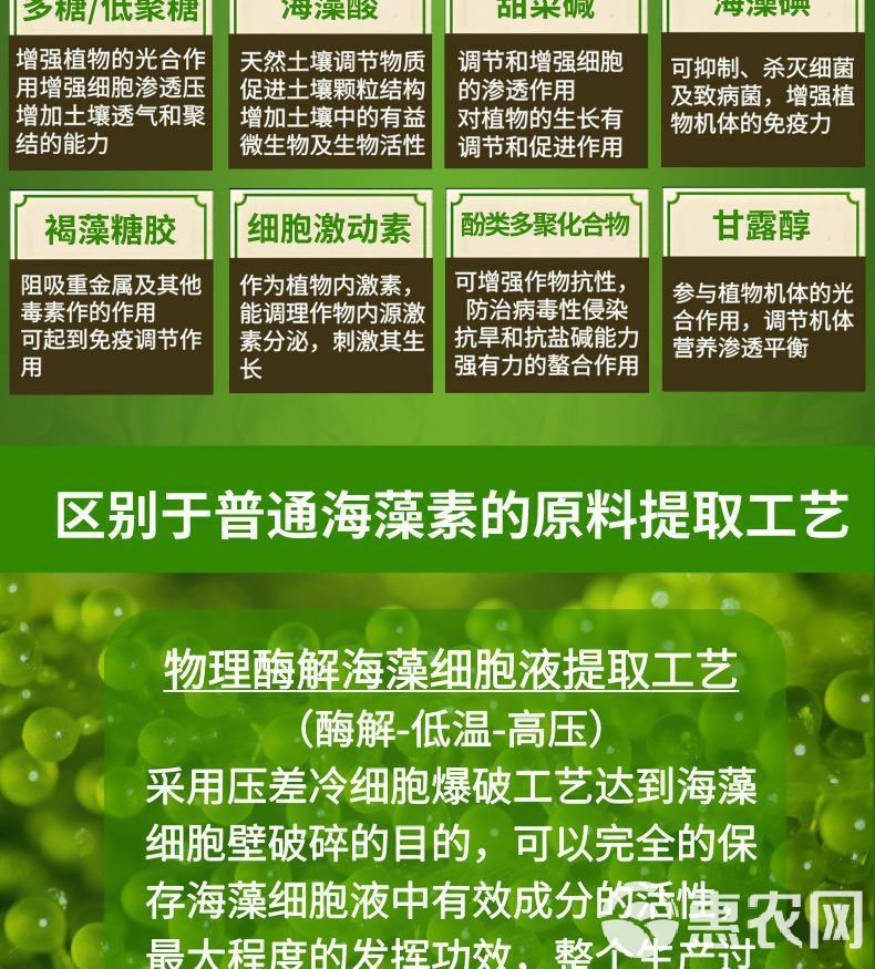 海藻肥“安豐樂” 深海力量的農(nóng)業(yè)革命，強(qiáng)力生根壯苗防病害
